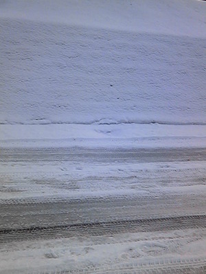 NEC_0769.JPG